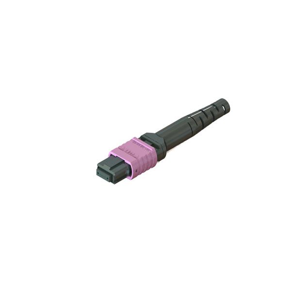 Connecteur MPO en fibres avec des matériaux ferrules différents corps et couleurs de bottes