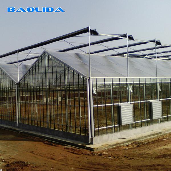 Capacidade de vidro ISO9001 da estufa 140mm/H de Venlo do multi período habilitado