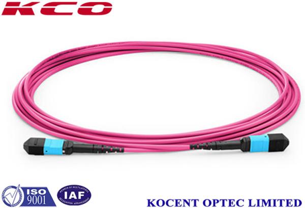 3m 5m 10m 30m OM4 MPO MTP Multimoce Patch Cord 50/125 LSZH Violet Pink Fiber Optic Cable
