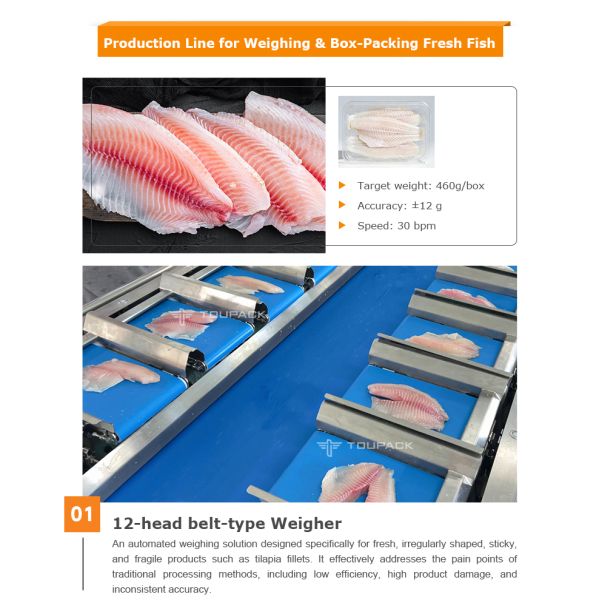 Automatic Tray Sealer Machine with Screw Multihead Weigher for 60 bpm Ready Meal Packaging Line