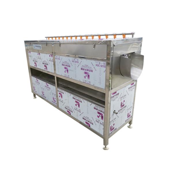 Potato Soft Brush Washing Polished Carrot Taro Stiff Bristle Brush Roll Peeling Cleaning Machine