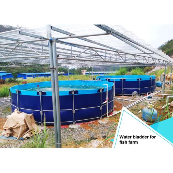 Танки пузыря воды обрабатывать землю рыб диаметра по фланцу 40m