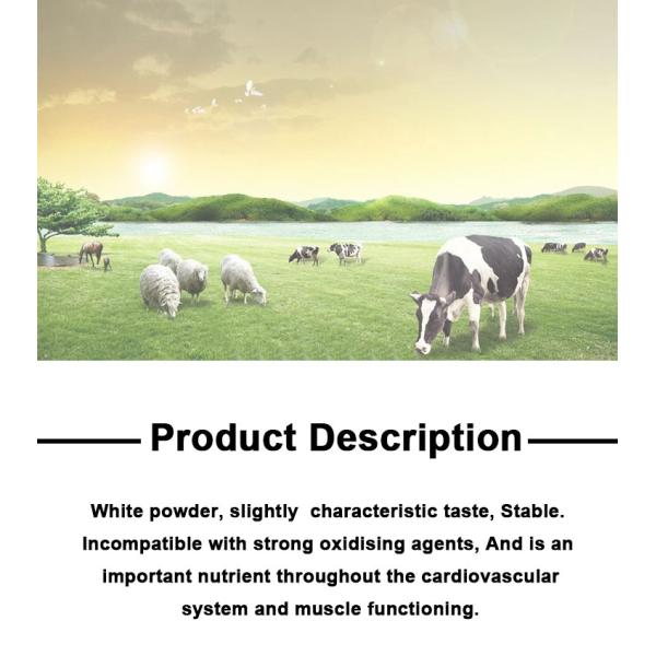 Feed Grade DL Methionine 99% Powder for Poultry Feed Additive Preservatives Efficacy