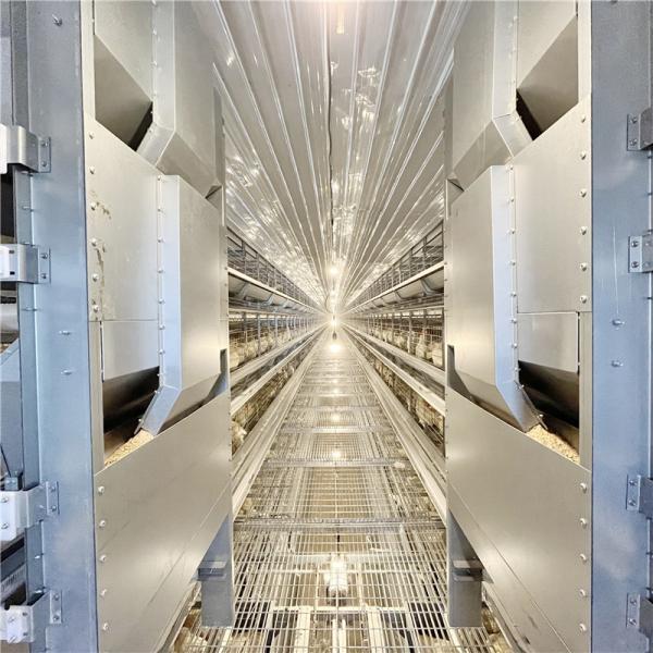 Подгонянные доступные птицефермы цыпленка клетки цыпленка слоя батареи