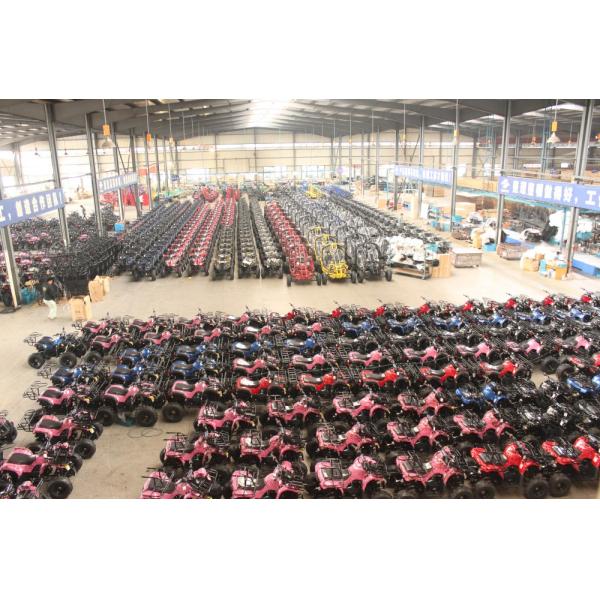 CE EPA ECE DB10SA Green Road Race Motorcycles 50cc 2 Stroke