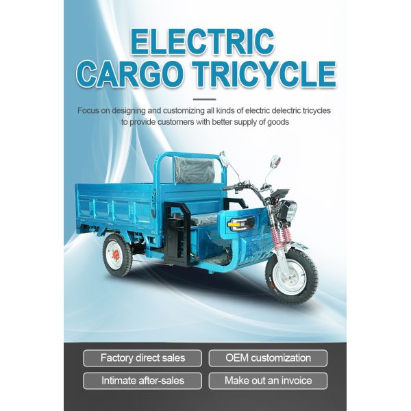 180 Axle Electric Cargo Tricycle E Rickshaw Loading Wala Li Ion Battery ODM