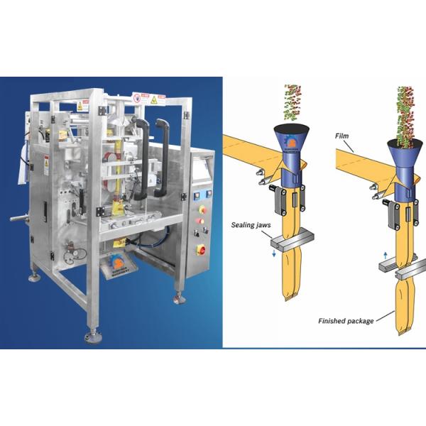 Француз нержавеющей стали автоматический, который замерли жарит машинное оборудование упаковки