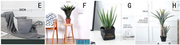 ISO Desert Snake Plant Artificial Bonsai Tree Tiger Piran Aloe Sansevieria Seeds