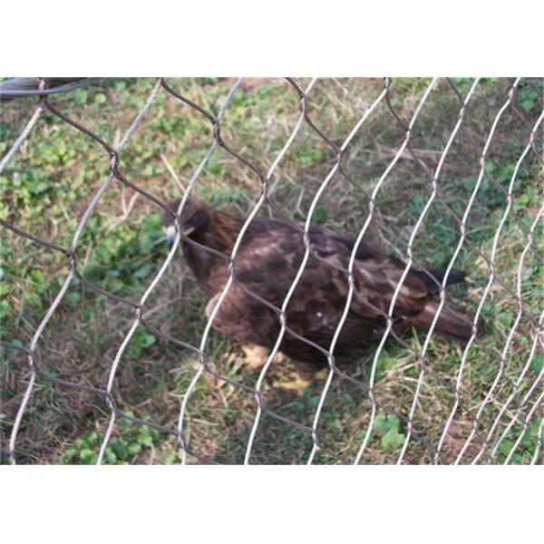 Подгонянное плетение Aviary нержавеющей стали 60x60mm угол 60 градусов Rustproof