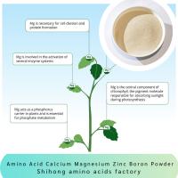 Le magnésium de calcium d'acide aminé de mangue zinguent les fruits végétaux d'engrais de poudre de bore
