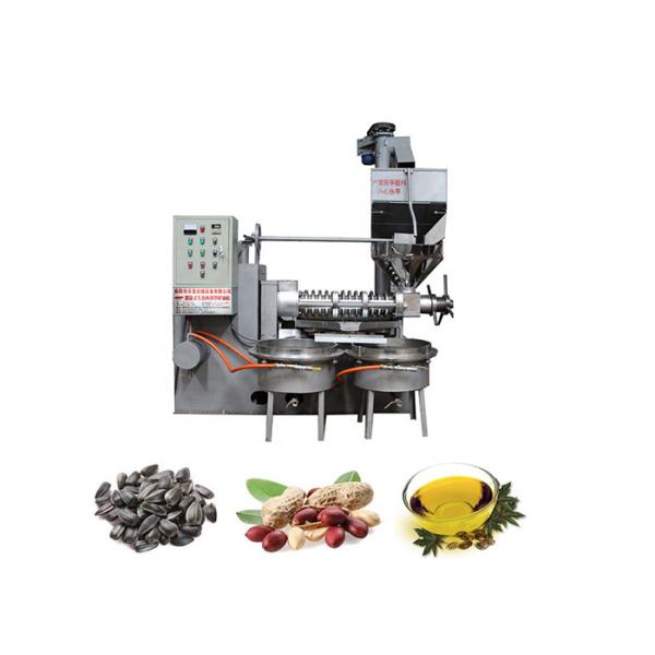 High Oil Yield Screw Oil Press Machine Spiral Oil Press Equipment 2600 * 1600 * 2700mm