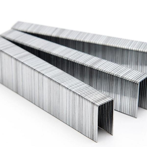 Pneumatic Staple 1019J 20gauge 10 Series Staples for Furniture Decoration