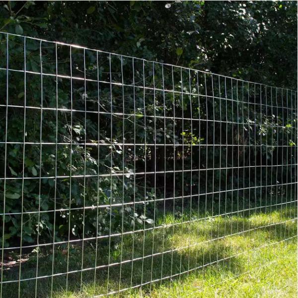 Direct Sale Galvanized Welded Wire Mesh Roll for Bird Cage Rabbit Customized Width