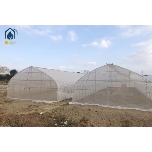 Galvanized Steel Tunnel Greenhouse Single Span PE Cover Greenhouse For Agriculture