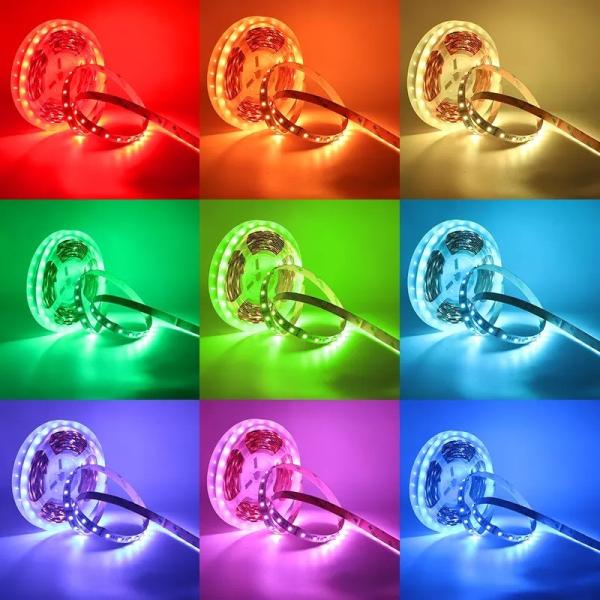 12w 12v 24v 10mm 60 Leds Rgb 5050 Smd Flexible Led Strip Light with and Multi Colors