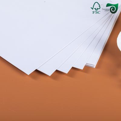 230gsm 250gsm 300gsm C1S White Cardboard FSC 635mm 700mm 914mm 1000mm
