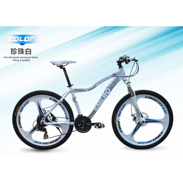 Integral Wheel Mountain Bike