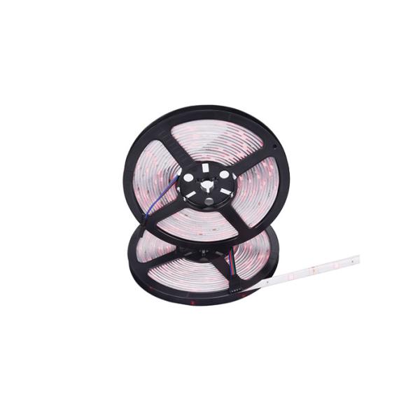 Контролируемое ПРИЛОЖЕНИЕ светов прокладки WIFI СИД музыки SMD5050 16.4ft