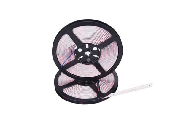 Smart Bright Rgbww DC12V 5m 7.2w/M Strip Led Lights In Room