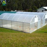 Cheap Agricultural Green House Commercial Greenhouse Intelligent Single-Span Greenhouse for Tomato Planting