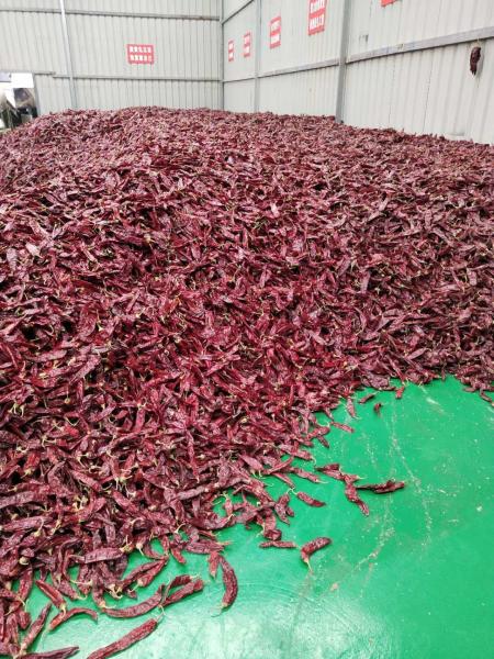 500 shu Dried Guajillo Chili Sweet Paprika Pepper BRC /Halal /ISO