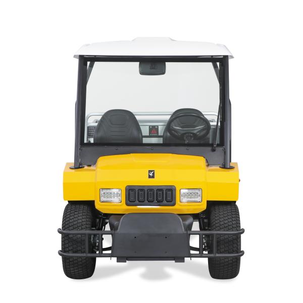 Excar Новый Дизайн Модель Электрический Мини Бугги Автомобиль Улитетный инструмент Автомобиль Домашнее хозяйство Автомобиль для продажи