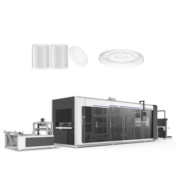 HIPS PE Plastic Lid Thermoforming Machine One Off Cup Vacuum Mould Machine