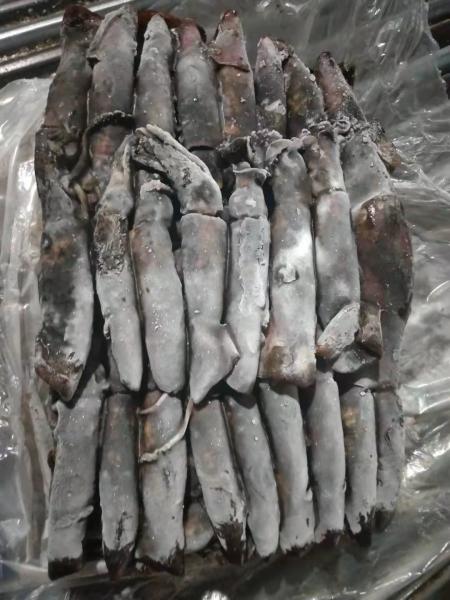 150+G BQF Frozen Black Squid ISO2200 / HACCP Standard