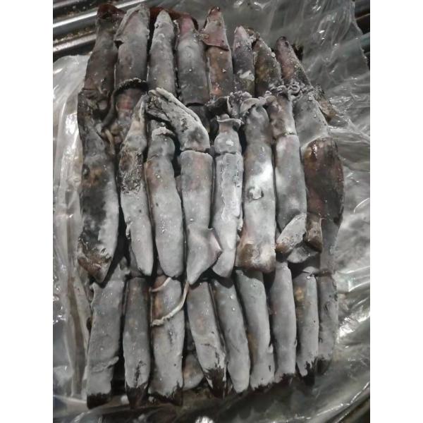 150+G BQF Frozen Black Squid ISO2200 / HACCP Standard