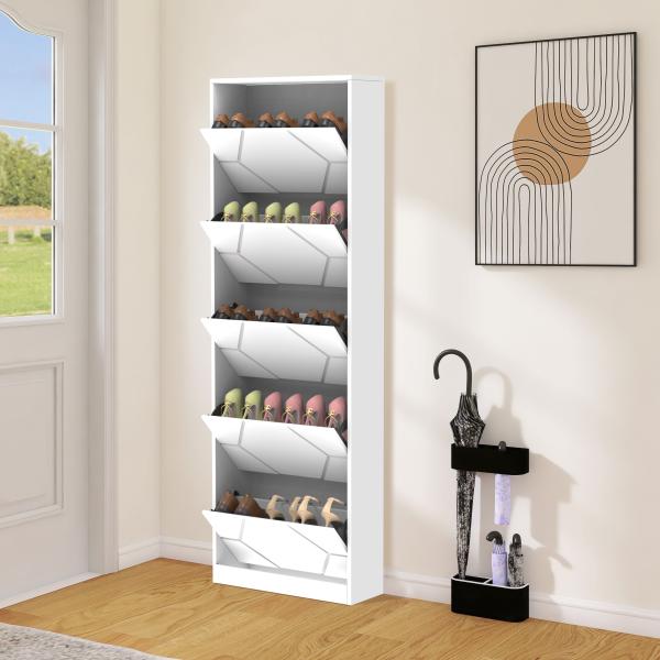 Wooden shoe cabinet with five door