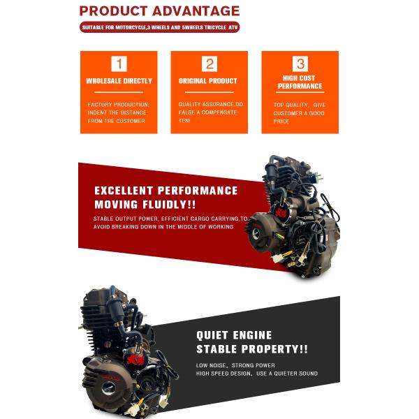 Fit ATV UTV Tricycle Motorcycle Engine Assembly for DAYANG LF 300cc Water Cooled