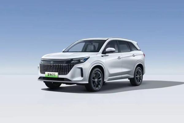 Landian E5 2024 Honor Edition 100km Automático Luxo 5 lugares com serviço online