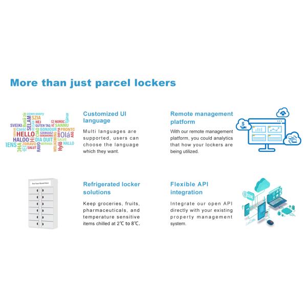 Armario expreso elegante de la entrega del paquete del armario con el sistema teledirigido