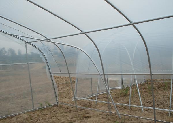 Efficient Single Span Greenhouse Strong Adaptability Suitable For Cultivation