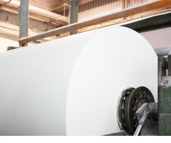 China Paper Company Limited