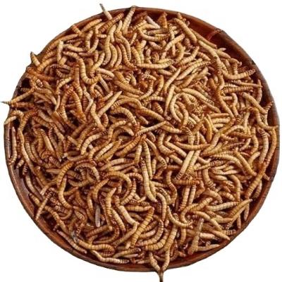 DRIED MEALWORMS MEALWORMS BLACK SOLDIER FLY LARVAE from Vietnam Akina