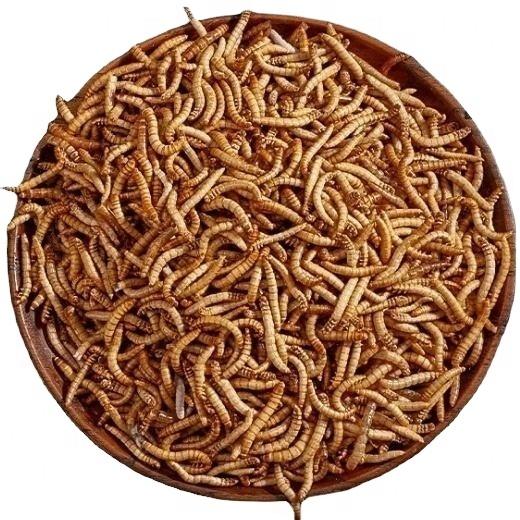 DRIED MEALWORMS MEALWORMS BLACK SOLDIER FLY LARVAE from Vietnam Akina