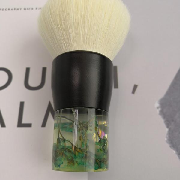 Waterweeds косметической щетки Kabuki порошка яркие конструировали одиночную щетку