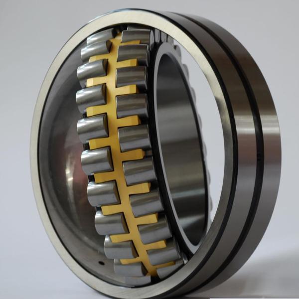 Roller Bearing Rolling Spherical Roller Bearing with P2 Level for Performance