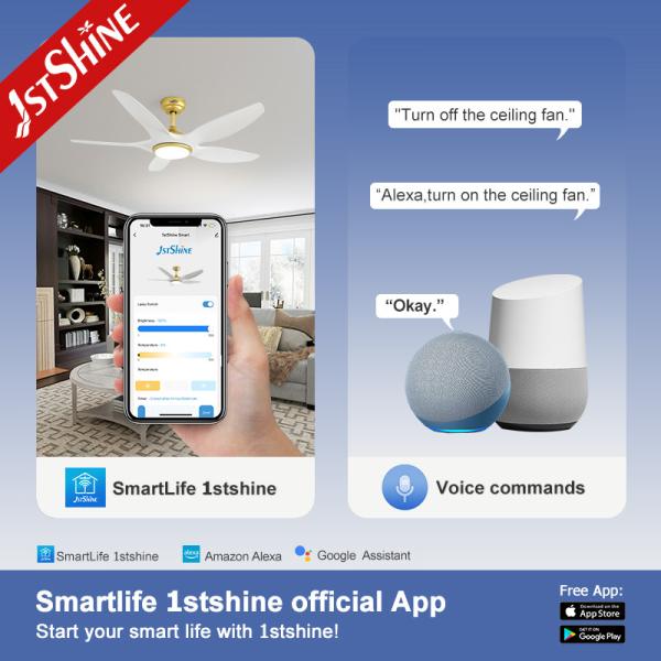 1stshine OEM Color Dimmable LED Light Ceiling Fan 5 Blades DC Motor and Remote Control