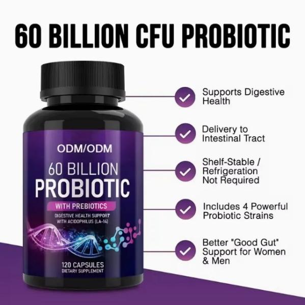 OEM Organic Gut Health Probiotics Supplements For Women Help To Regulate Immunity