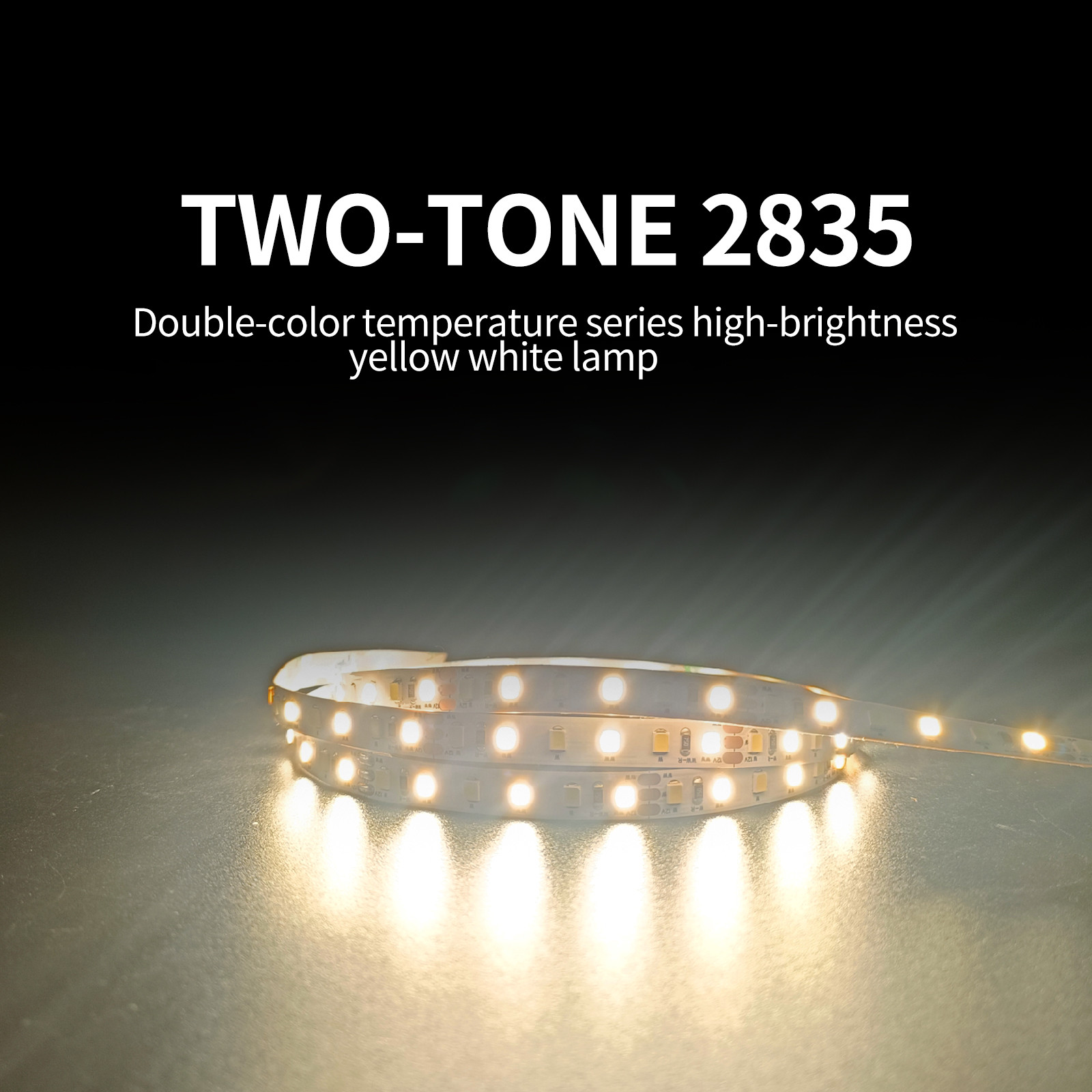 дистанционного управления 12V/24V низшего напряжения прокладки СИД 120LEDs тип гибкого SMD 2835