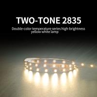 da tira flexível do diodo emissor de luz de 120LEDs tipo 12V/24V de controle remoto da baixa tensão SMD 2835