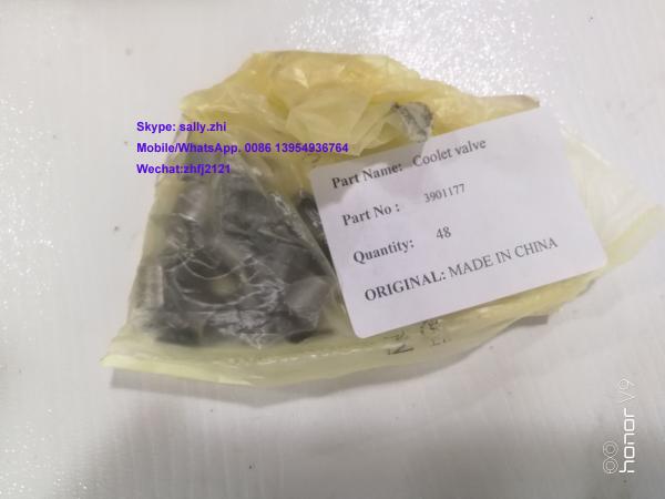 brand new Coolet valve, 3901177,  Cummins engine parts for 6 CTA Cummins engine