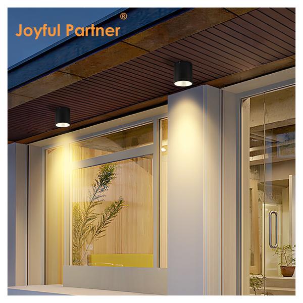 15W COB LED Downlight Cylinder DIA110MM Screw Fix Extruded Aluminum Alloy Housing For Outdoor Application