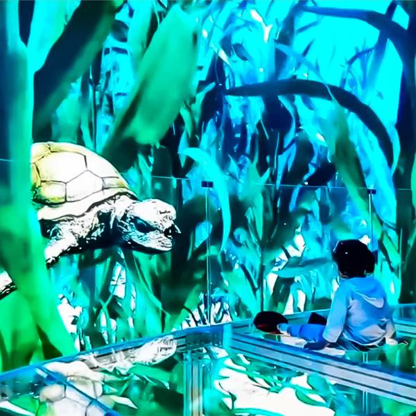 ВР без стекла динамическое кино ВР кинооборудование Full House Динамический театральный зал