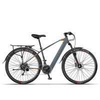 cadre en acier à haut carbone électrique de la bicyclette X3 de vélo de neige de la montagne 500w 29 pouces
