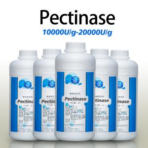 20000U/G Produit de pectinase Enzyme de pectinase liquide dans l'industrie