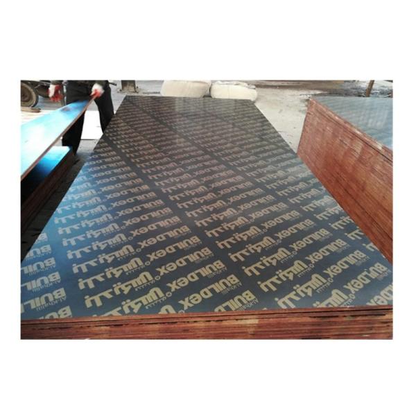 Construction Two Times Hot Press 4x8 Plastic Film Faced Ply