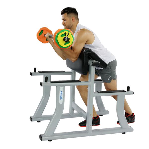 High Quality Arm Curl Bench Hot Wholesale Gym Equipment for Biceps Curl Pin Load Selection Machines